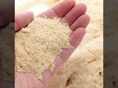 Da fábrica acanelado dos painéis de parede de WPC venda direta à prova de fogo e umidade - prova