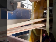 Da fábrica à prova de som dos painéis de parede de WPC impermeável direto e umidade - prova