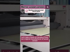 Produto à Venda Quente 5MM 8MM Madeira Grão Madeira Veneer Bambú Carvão PVC Painel de Parede