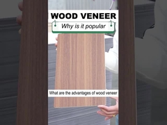 A madeira contínua da grão da madeira da largura da decoração interior 1.22m folheia o painel de parede do PVC