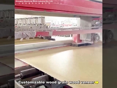 2Tabuleiro de parede de carvão de bambu de 44 m, moderno, leve, luxuoso, de comprimento personalizado, tabuleiro de cristal de carbono de PVC